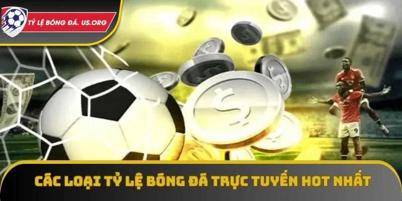 Các loại tỷ lệ phổ biến nhất hiện nay mà ai cũng sẽ gặp phải