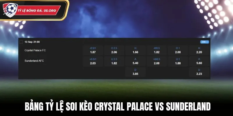 Soi kèo Crystal Palace vs Sunderland - bảng tỷ lệ trước trận