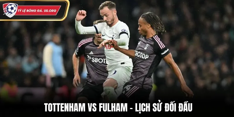 Soi kèo Tottenham vs Fulham - Nhìn lại thống kê gặp nhau trước kia
